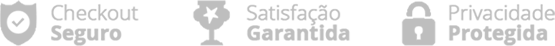 seguro-bronze-2.png